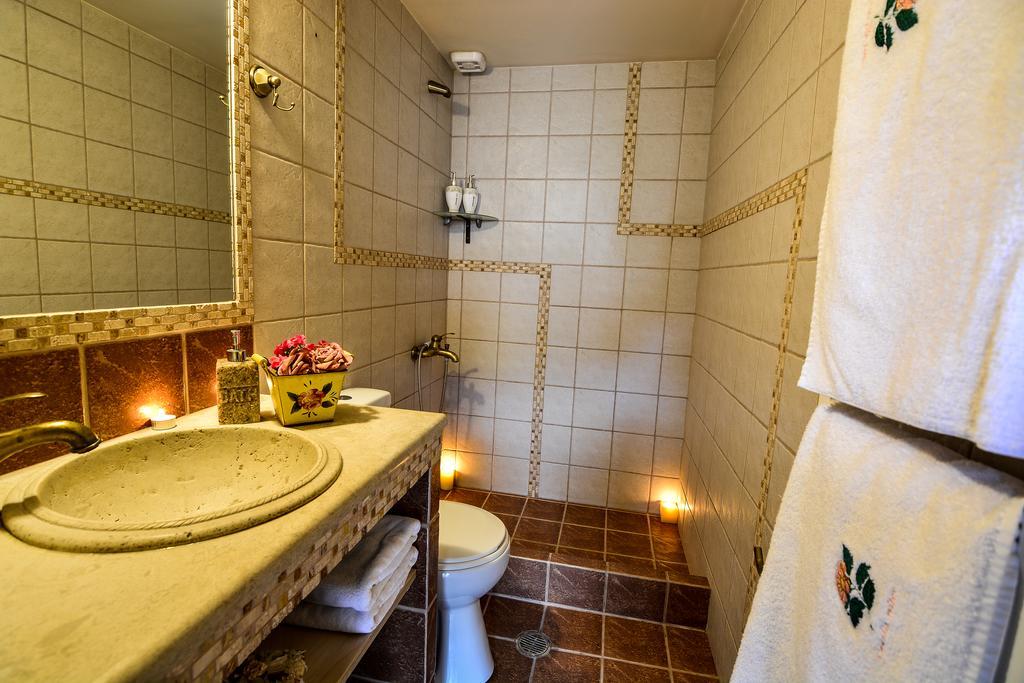 Camelia Suites Synikia Mesi Trikalon Extérieur photo